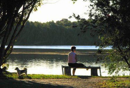 Fishing Haven Caravan Park - Kawana Tourism 2