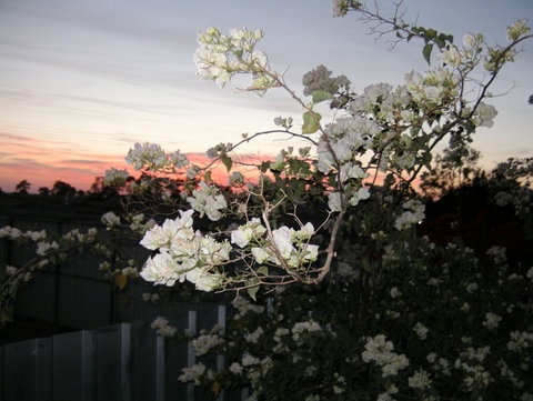 Sonjas Bed And Breakfast - Kawana Tourism 2