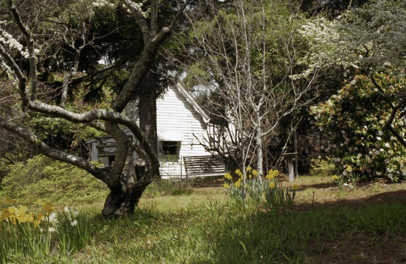 Avoca Cottage - Kawana Tourism 3