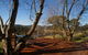 Clontarf Bed And Breakfast - thumb 4