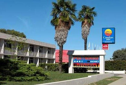 Comfort Inn Posthouse - Kawana Tourism 0