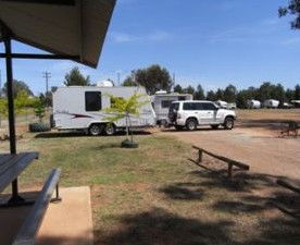Ariah Park Camping Ground - Kawana Tourism 2