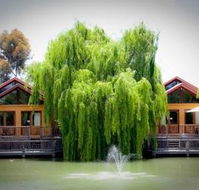 Perricoota Vines Retreat - Kawana Tourism