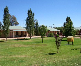 Narrandera Caravan Park - Kawana Tourism 0