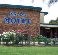 Fig Tree Motel - Kawana Tourism