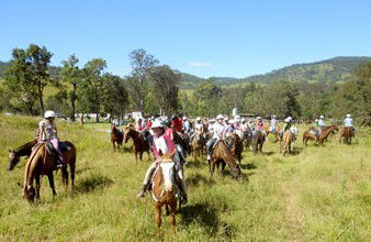 Camp Cobark - Kawana Tourism 0