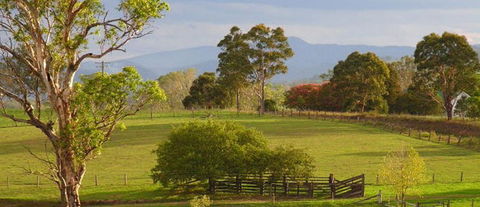 Barrington Village Retreat Bed And Breakfast - Kawana Tourism 1