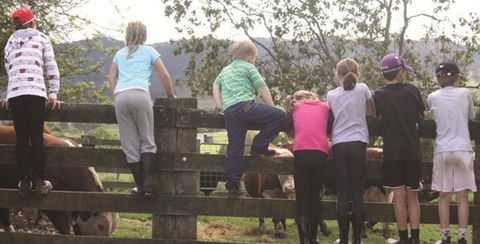 Ashmar Farm Stay - Kawana Tourism 4