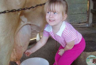 Ashmar Farm Stay - Kawana Tourism 5