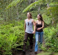 Blackheath Glen Tourist Park - Kawana Tourism