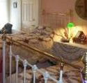 A Winter-Rose Cottage Bed and Breakfast - Kawana Tourism