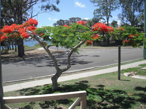 Kingfisher Caravan Park - Kawana Tourism 4