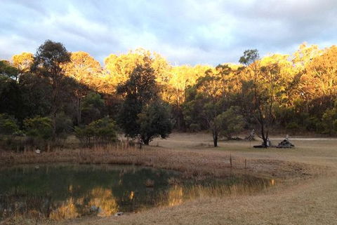 Possums Hollow And Hooters Hut - Kawana Tourism 1