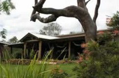 Mount Byron QLD Kawana Tourism