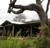 The Hollow Log Country Retreat - Kawana Tourism