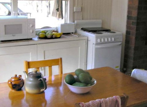 Myall Park Botanic Garden - Kawana Tourism 3