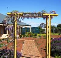 Lavendale Farmstay and Cottages - Kawana Tourism