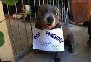 Dreamtime Caravan Park - Kawana Tourism 1