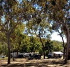 Barracrab Caravan Park - Kawana Tourism