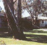 Winbi River Resort - Kawana Tourism
