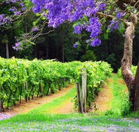 Bago Vineyards - Kawana Tourism