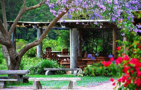Bago Vineyards - Kawana Tourism 1