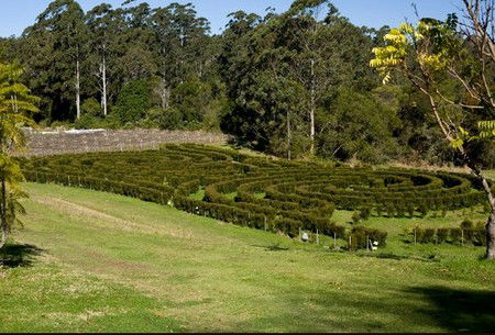 Bago Vineyards - Kawana Tourism 2