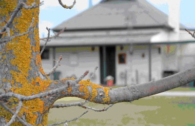 Dunalan Host Farm Cottage - Kawana Tourism 1