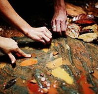 Daintree Eco Lodge And Spa - Kawana Tourism