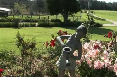 Jacaranda Country Lodge - Kawana Tourism 2