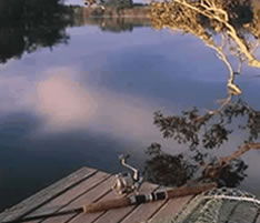 Jacaranda Country Lodge - Kawana Tourism 4