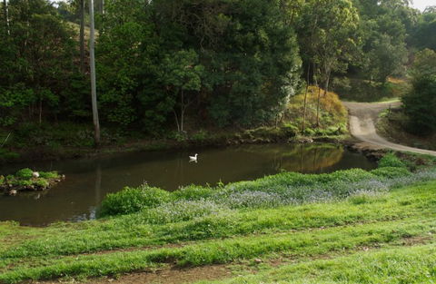 Wattle Gully Retreat - Kawana Tourism 4