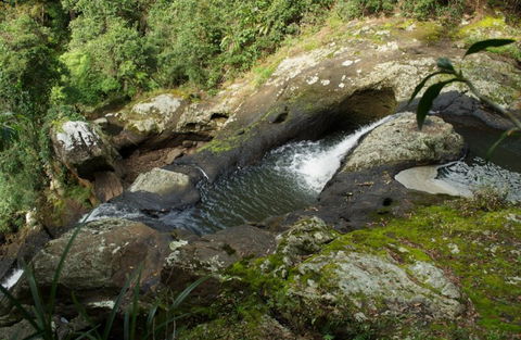 Wattle Gully Retreat - Kawana Tourism 7