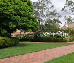 Barossa Weintal Hotel Motel - Kawana Tourism 2