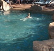 Undara Experience Lava Lodge - Kawana Tourism