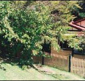 Apple Tree Cottage - Kawana Tourism