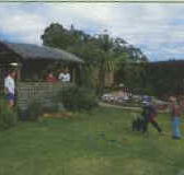 Tambo Lodge - Kawana Tourism
