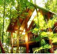 The Canopy Treehouses - Kawana Tourism