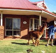 Brilea Cottages - Kawana Tourism