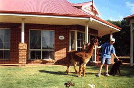 Brilea Cottages - Kawana Tourism 0