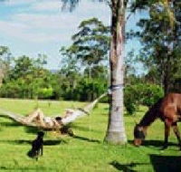 Neds Bed Horse O Tel - Kawana Tourism