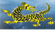 Dragon Phoenix Motel amp Restuarant - Kawana Tourism