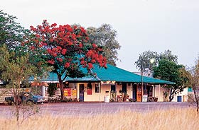 Wauchope Hotel And Roadhouse - Kawana Tourism 0
