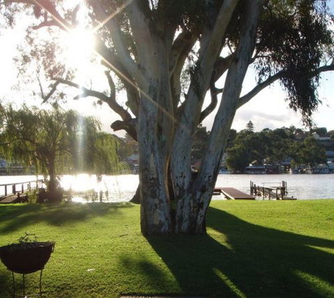 Eleven From The Left - Kawana Tourism 1