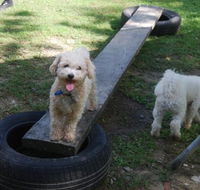 Beenleigh Pet Motel - Kawana Tourism