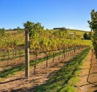 DeVine Escape - Kawana Tourism