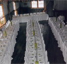 Echidna Gully Paintball and Lazerblits - Kawana Tourism