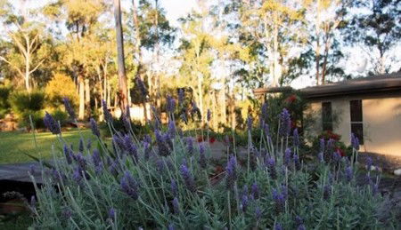 Wild Edge Retreat - Kawana Tourism 2