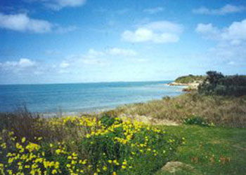 St Andrews Boulevard Apartments - Kawana Tourism 1