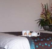 Best Western Ambassador Motor Inn - Kawana Tourism